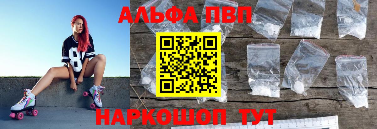 Alfa_PVP СК Владикавказ