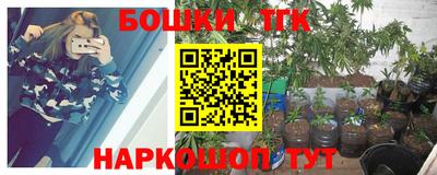 крисы Беслан