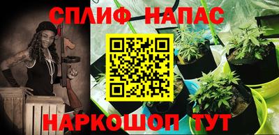крисы Беслан